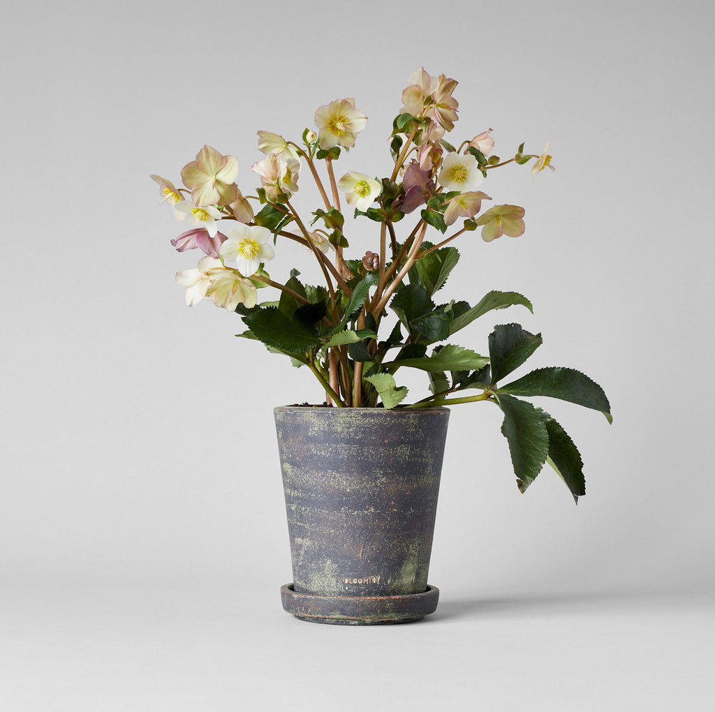 Basic Planter Tray, Grey Patina