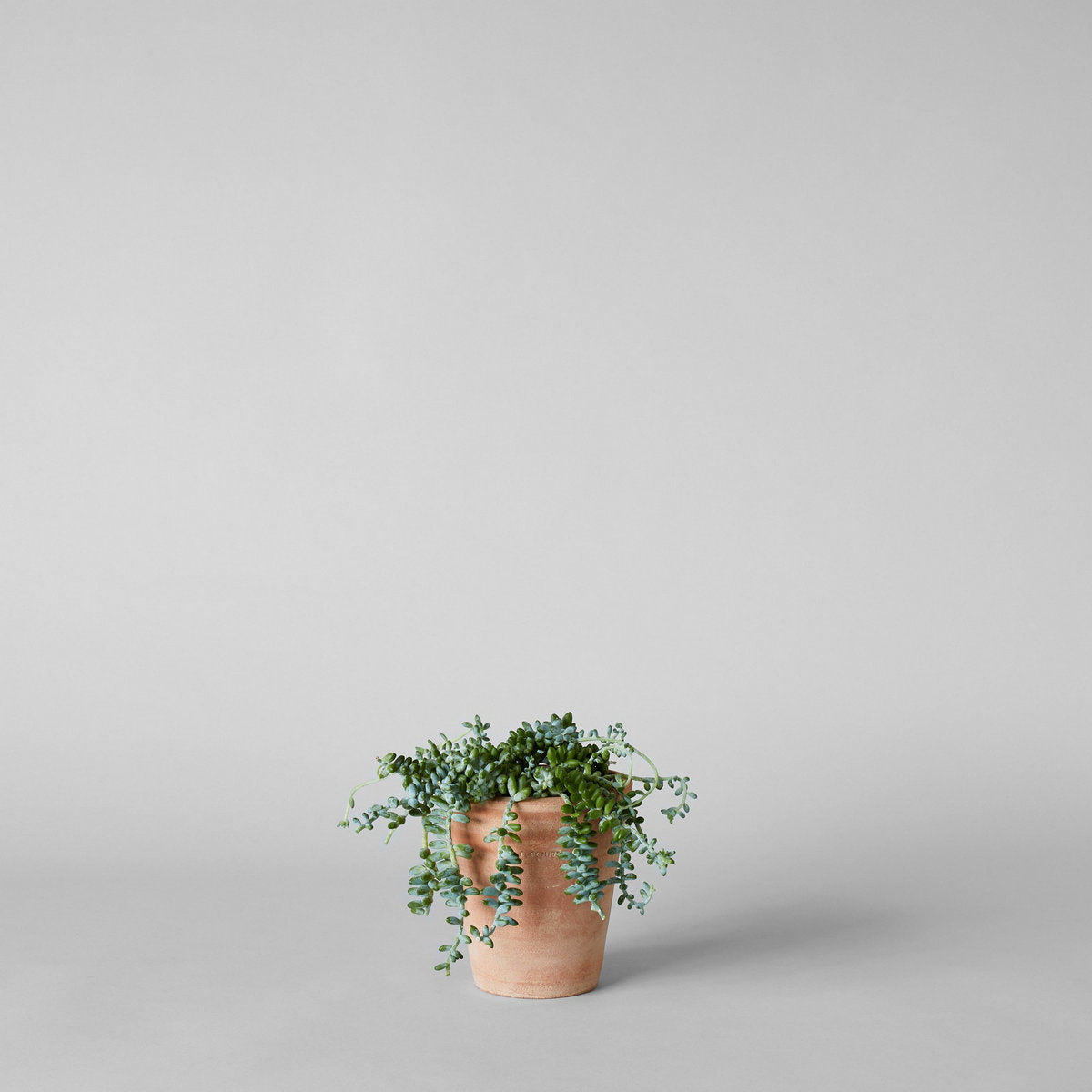 Terracotta Studio Planter, Whitewash