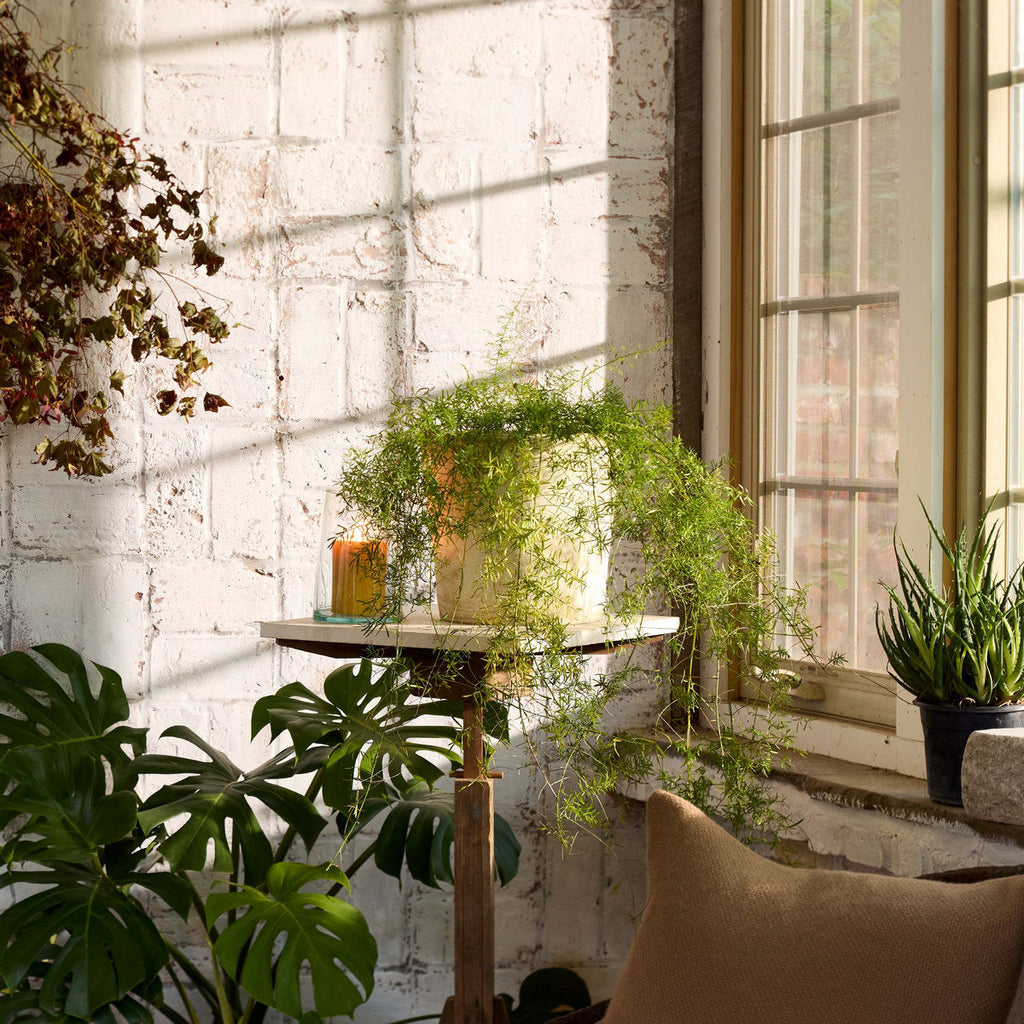 Terra Cotta Basic Planter, White Patina