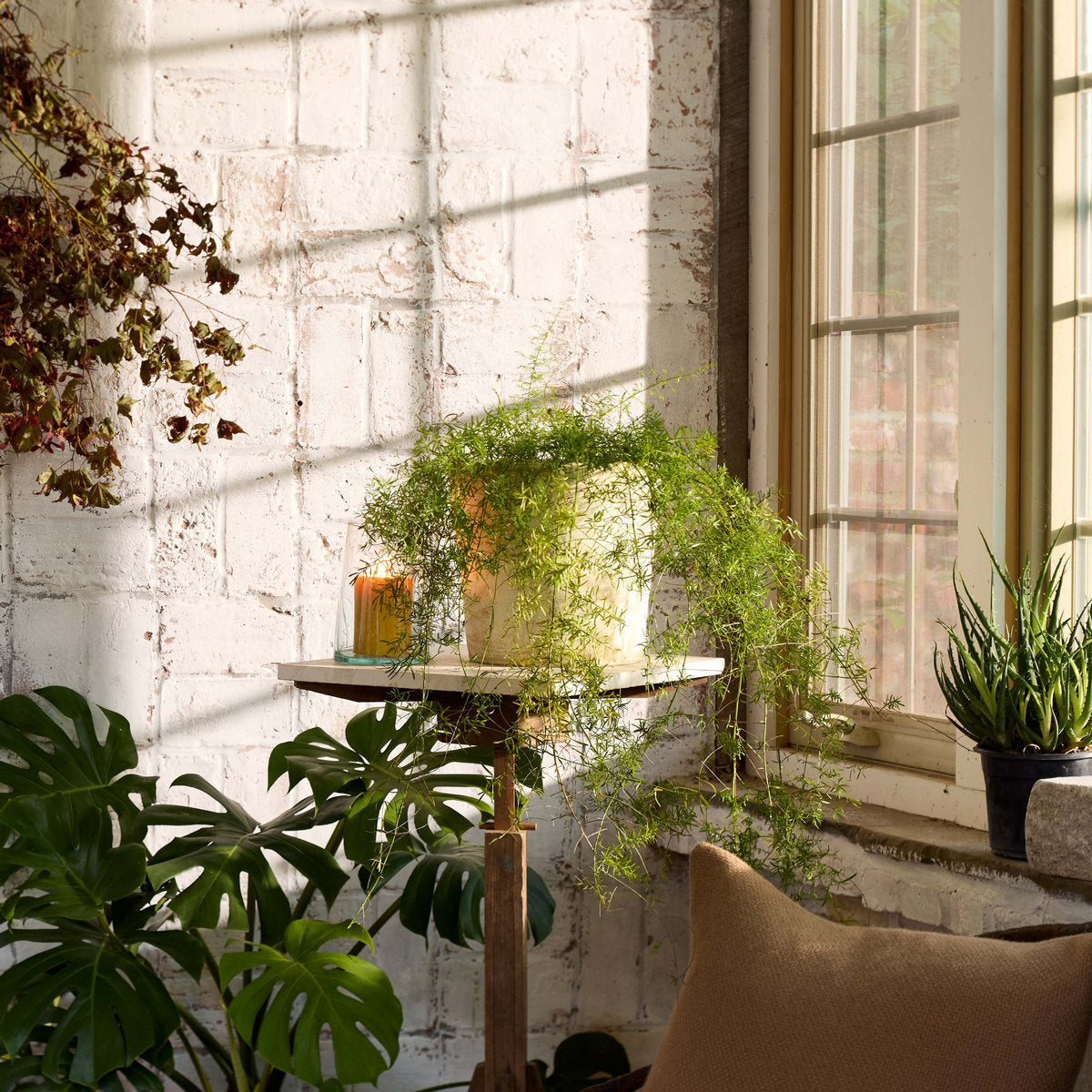 Terra Cotta Basic Planter, White Patina