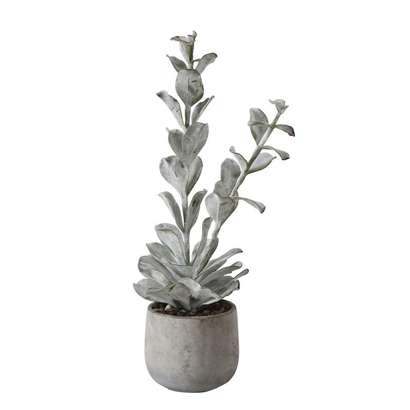 23-1/2"H Faux Succulent in Cement Pot