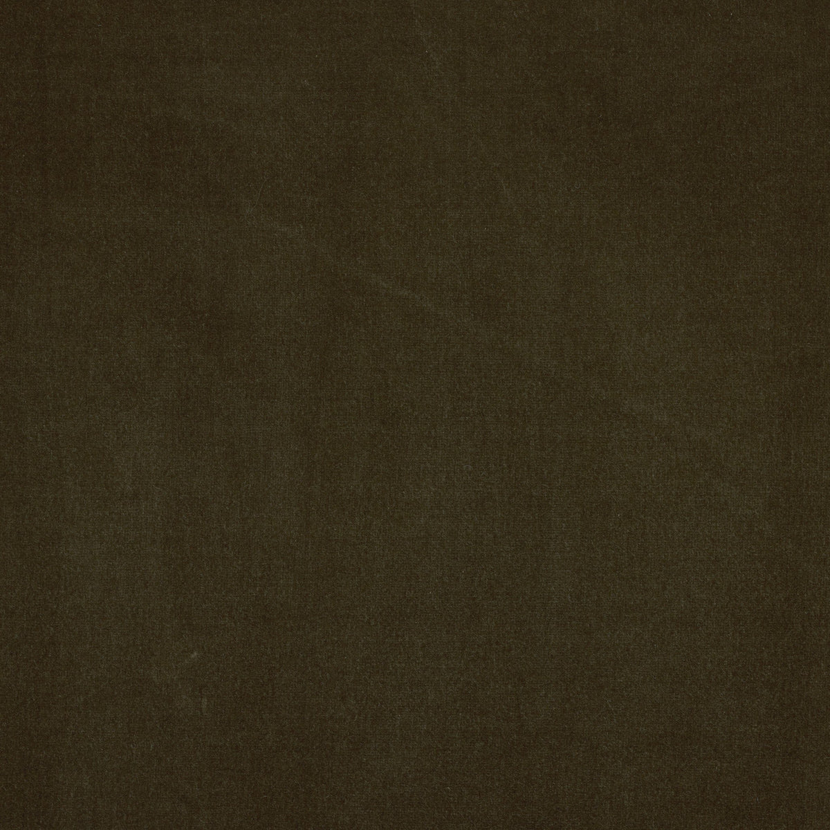 Potter Bed - Surrey Olive