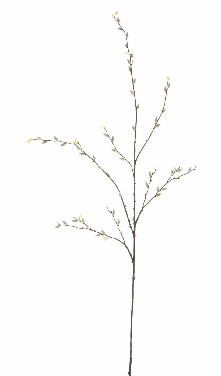 52" Pussy Willow - White
