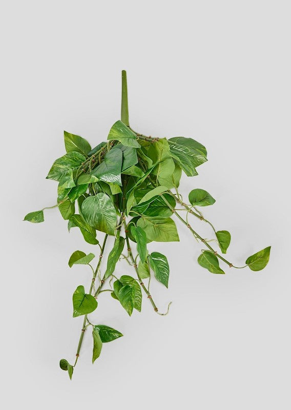 Real Touch Artificial Pothos House Plant