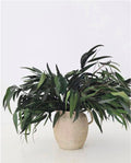 Preserved Weeping Willow Eucalyptus in Green 5-6oz Bunch