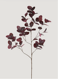 Burgundy Eucalyptus Leaves Branch