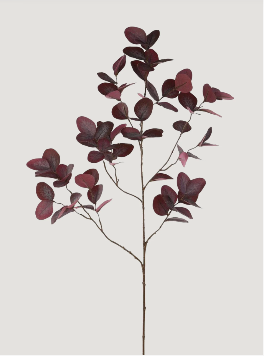 Burgundy Eucalyptus Leaves Branch