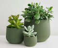 6" green pot