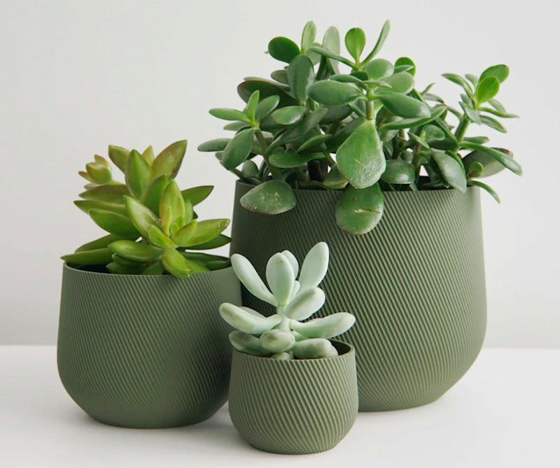 6" green pot