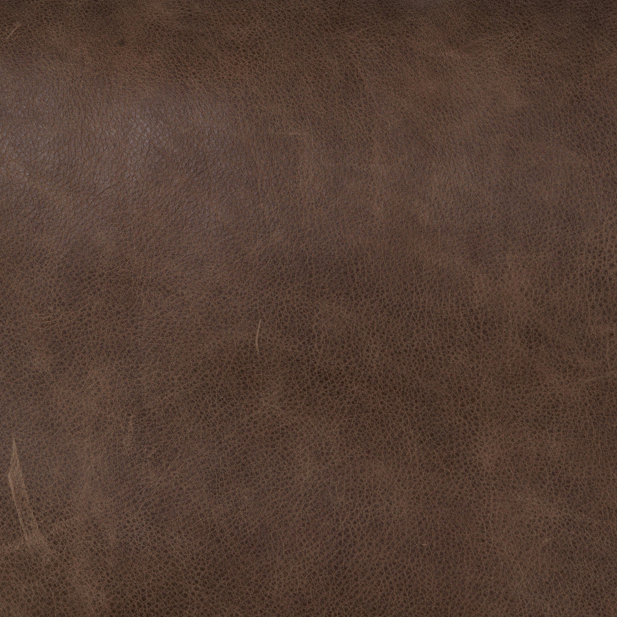 Kimmery Chair - Palermo Cigar