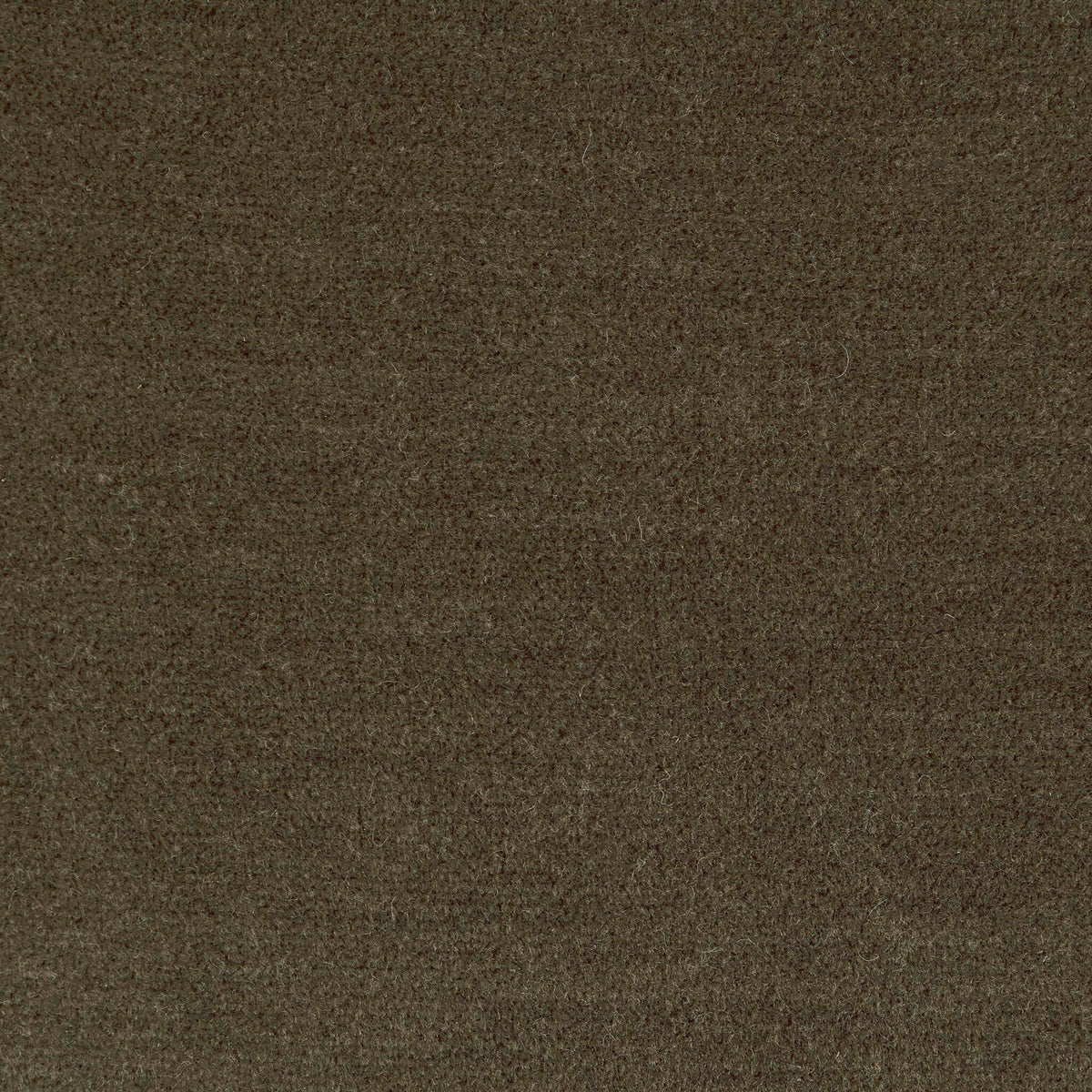 Celine Chair - Monte Olive