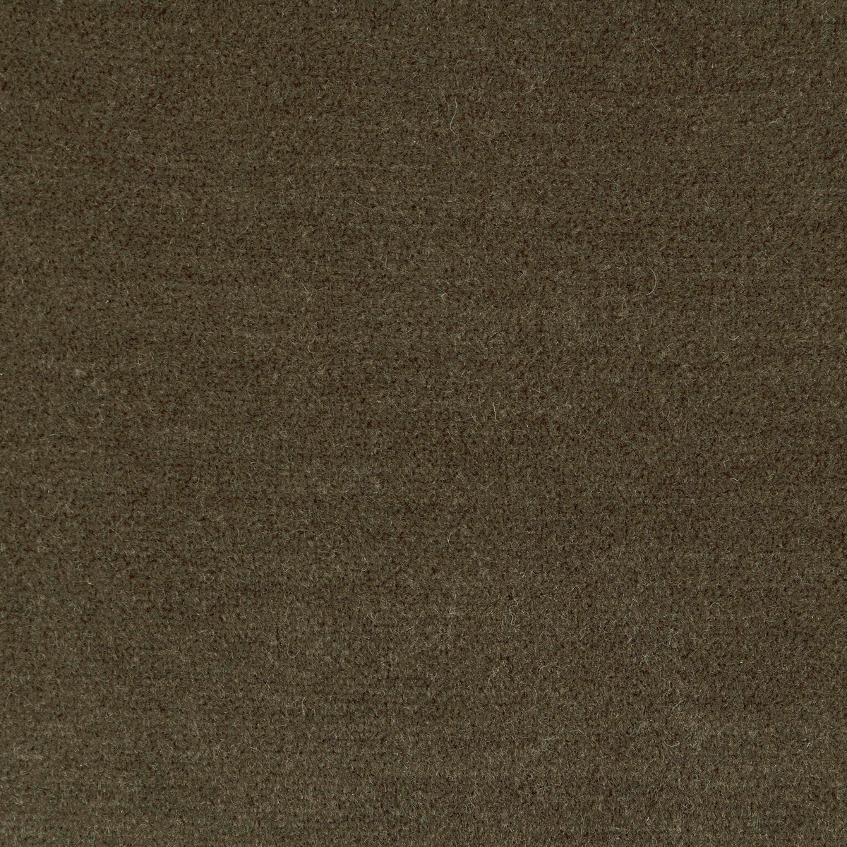 Amelie Chair - Monte Olive