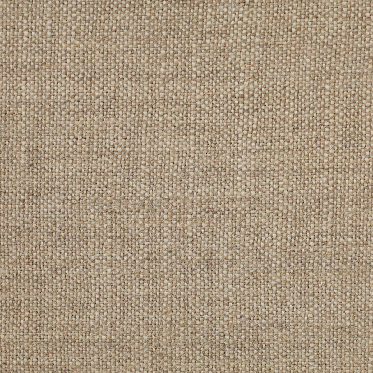 Baden Dining Chair - Alcala Wheat
