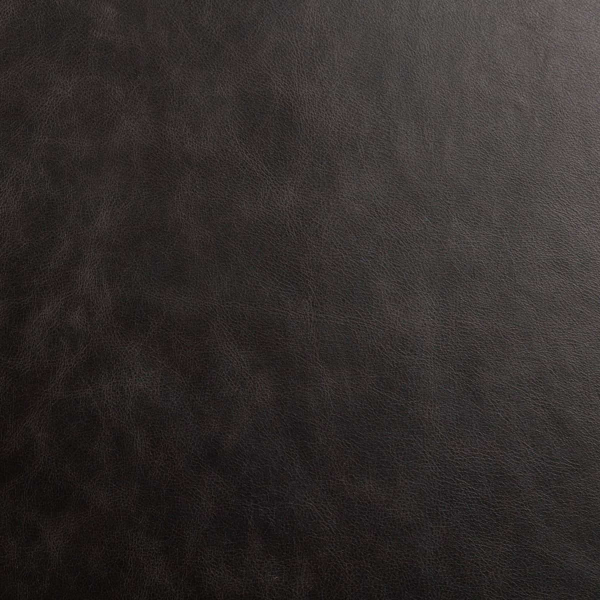 Ludvig Desk Chair - Sonoma Black