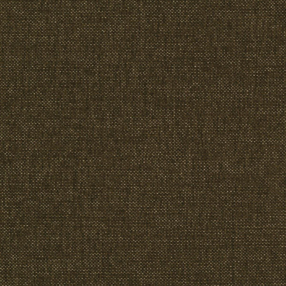 Colston Chair - Sutton Olive