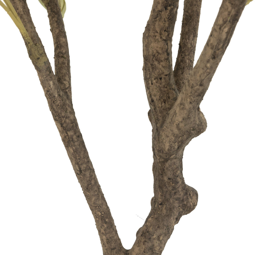 Faux Olive Tree - Faux Olive Tree