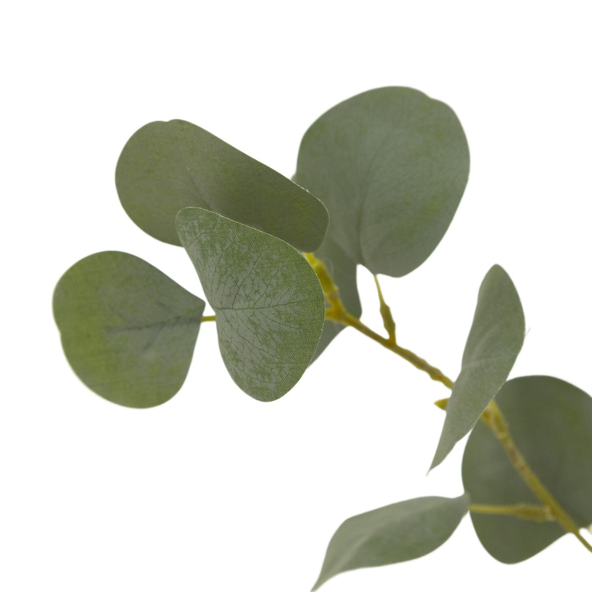 Faux Eucalyptus Tree - Faux Eucalyptus Tree