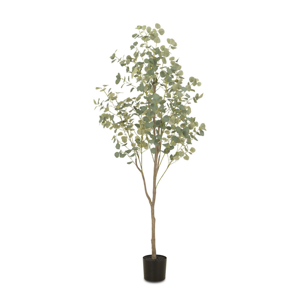 Faux Eucalyptus Tree - Faux Eucalyptus Tree