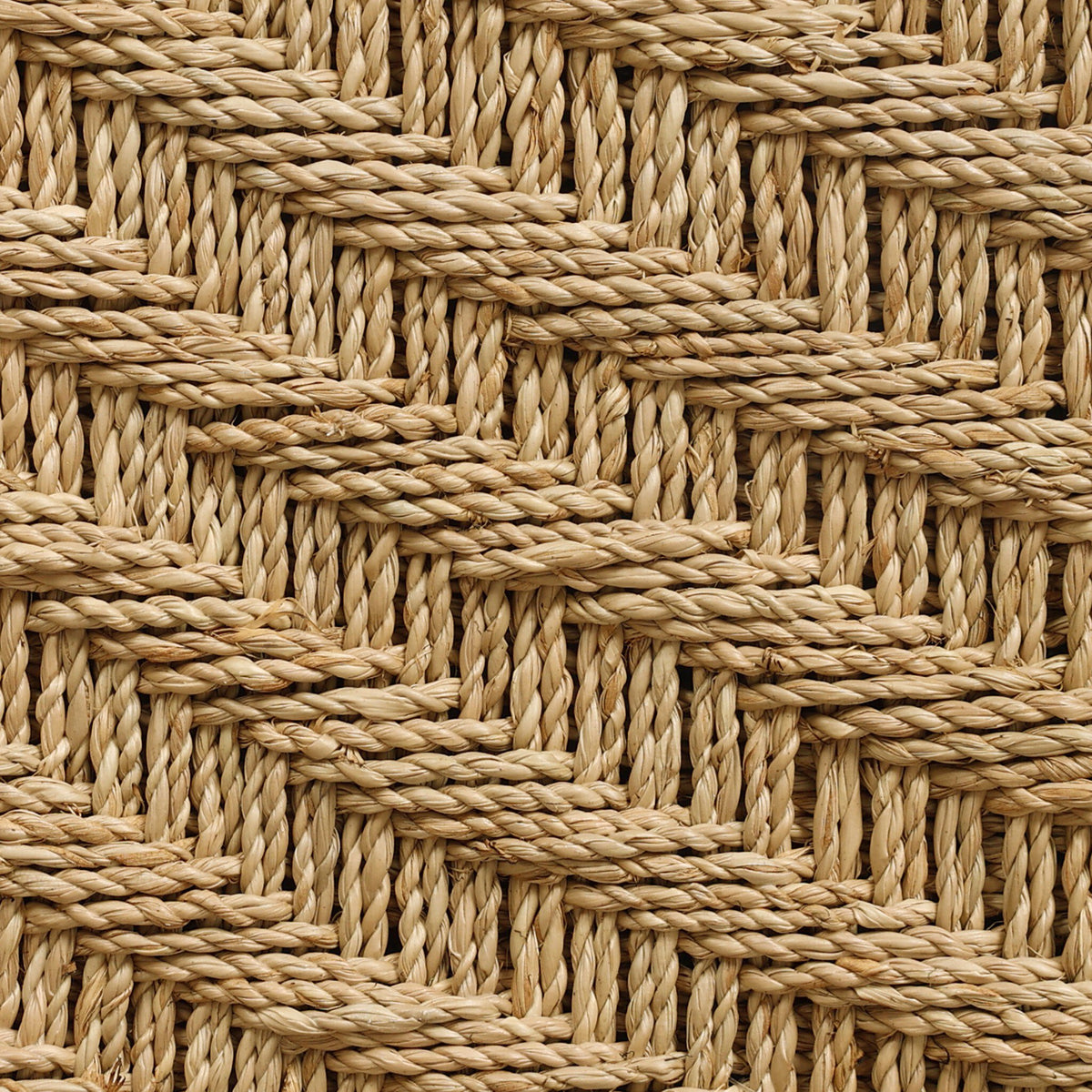 Raynor Dining Chair - Lynchart Sand