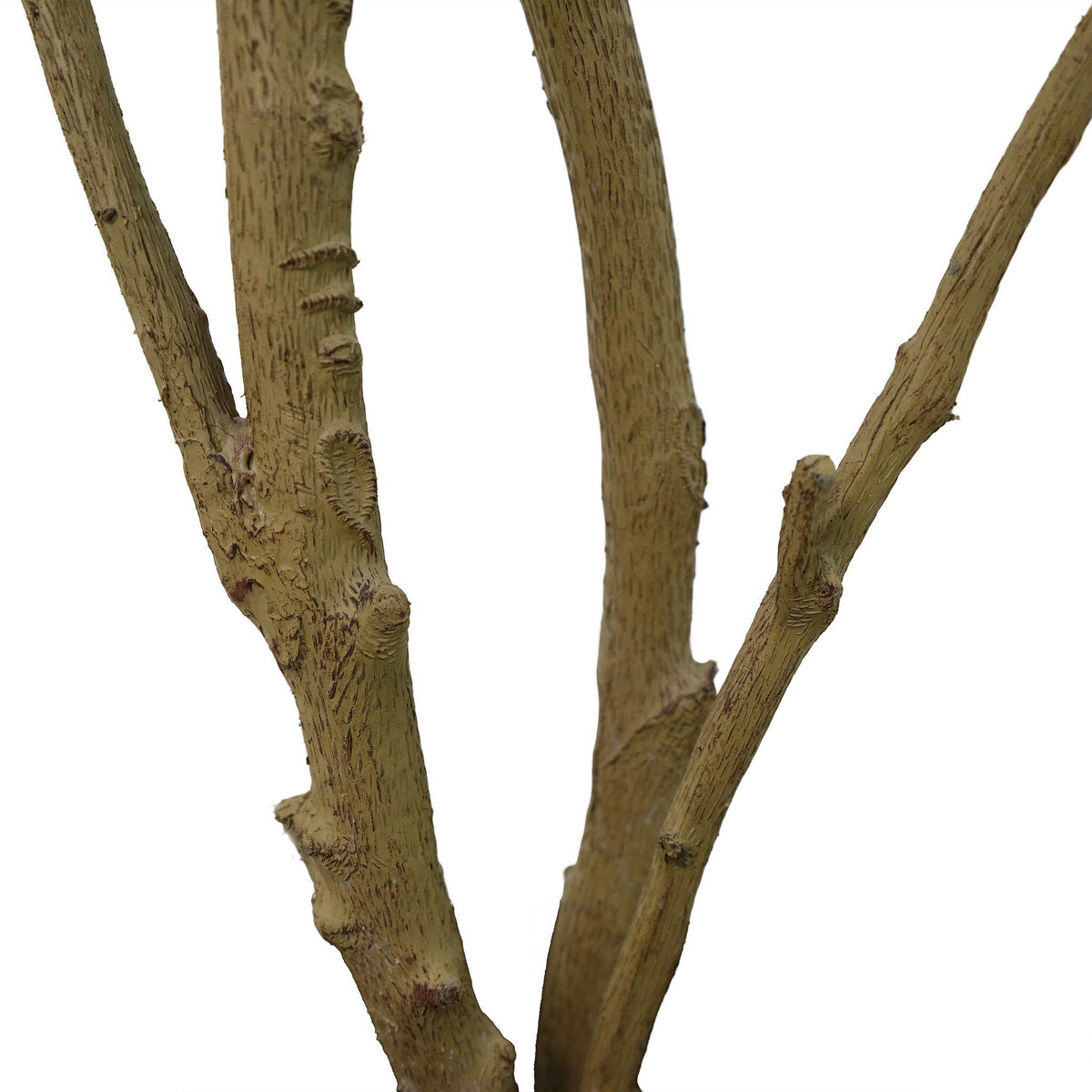 Faux Neem Tree - Faux Neem Tree