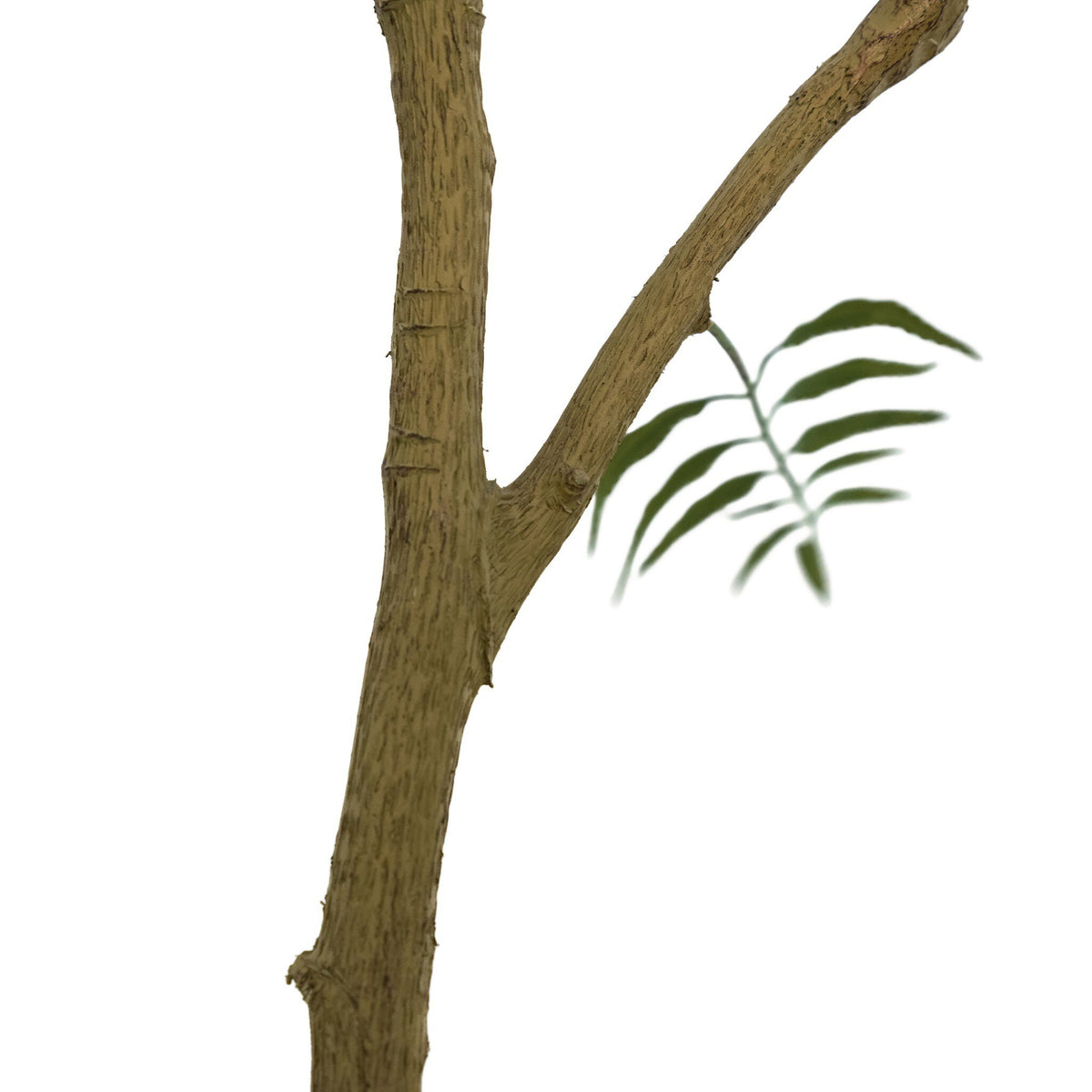 Faux Neem Tree - Faux Neem Tree