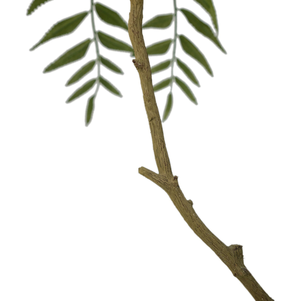 Faux Neem Tree - Faux Neem Tree