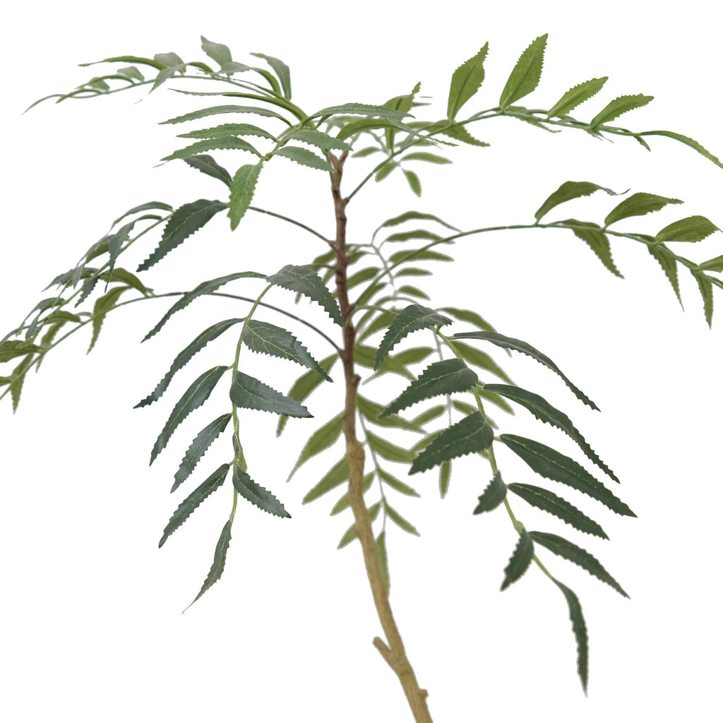 Faux Neem Tree - Faux Neem Tree
