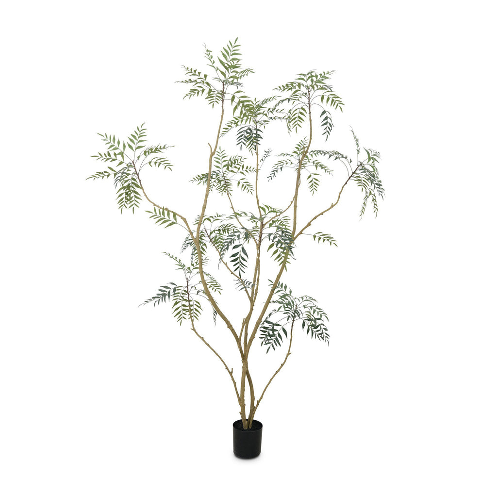 Faux Neem Tree - Faux Neem Tree