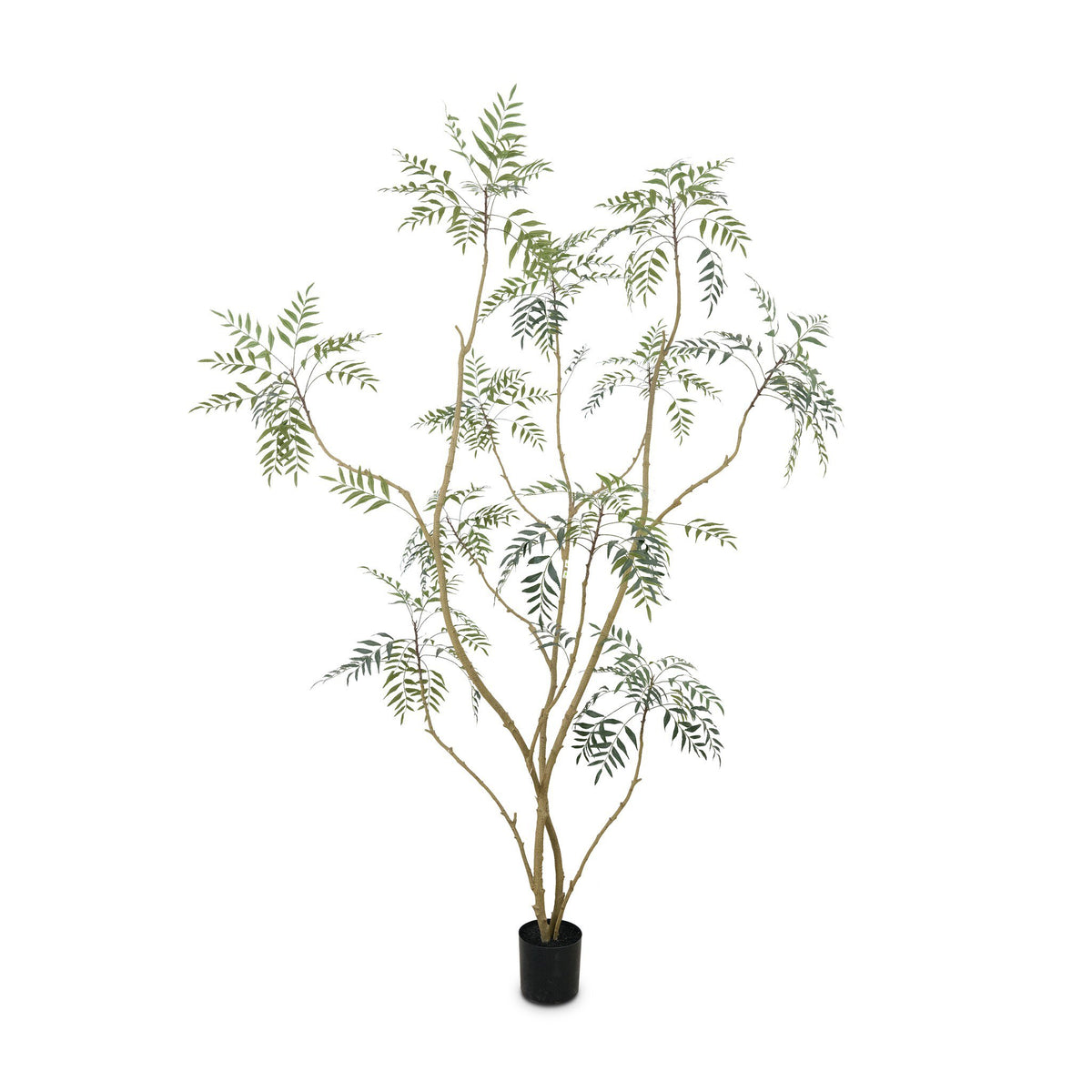 Faux Neem Tree - Faux Neem Tree