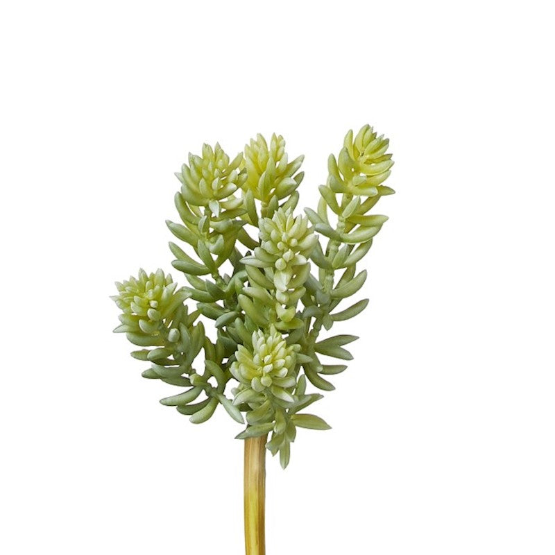5 inch faux sedum succulent stem in sage green