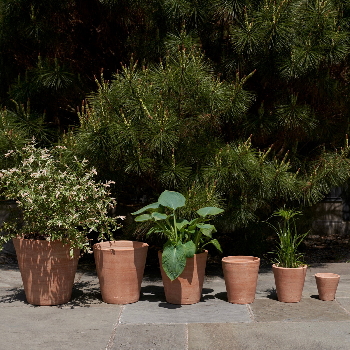 Terracotta Studio Planter, Whitewash
