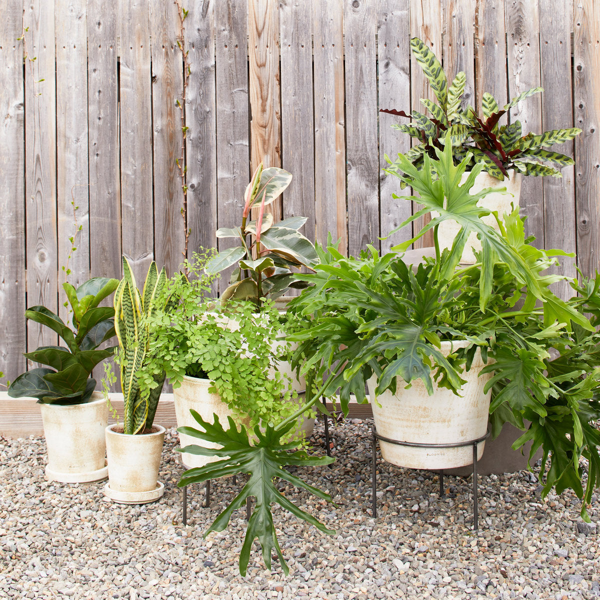 Terra Cotta Basic Planter, White Patina