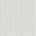 Finn Stripe in French Blue
