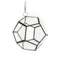 Glass Pentagon Terrarium