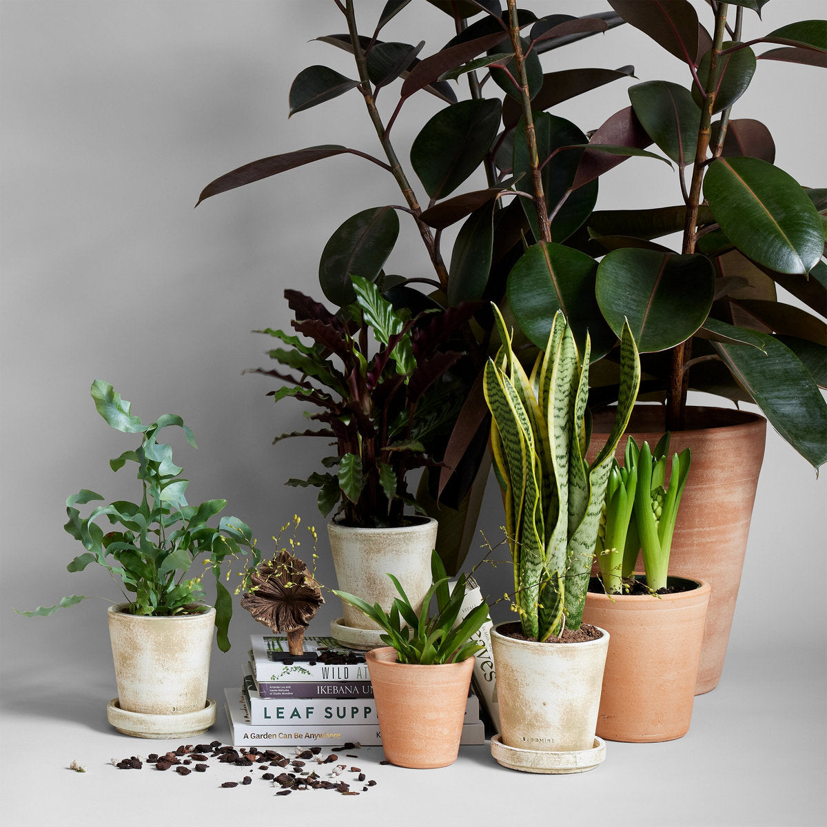 Terracotta Studio Planter, Whitewash