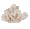 8-Inch Coral Object