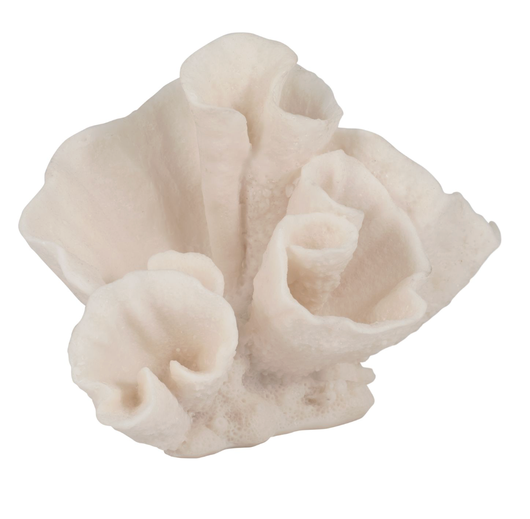 8-Inch Coral Object