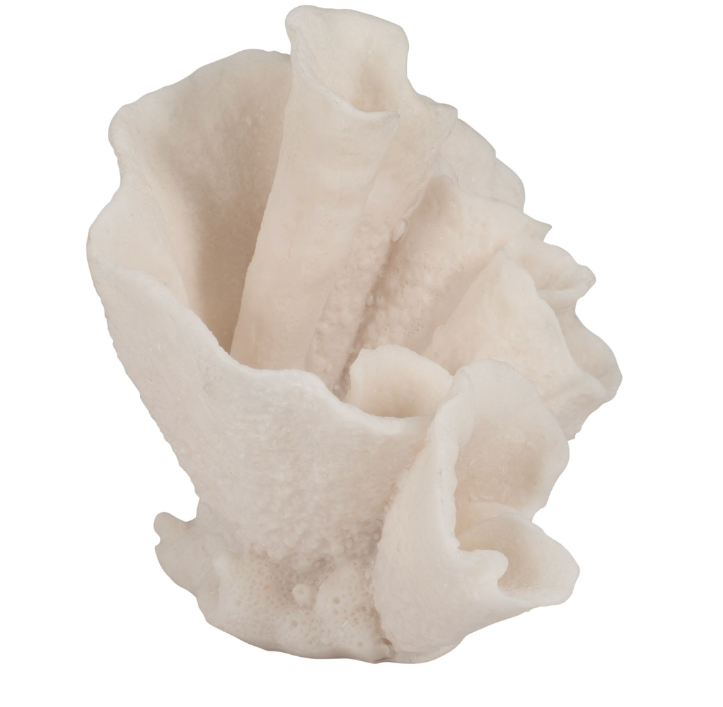 8-Inch Coral Object