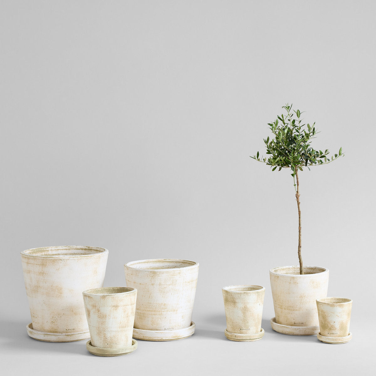 Terra Cotta Basic Planter, White Patina