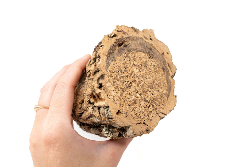 Natural Cork Bark Planters