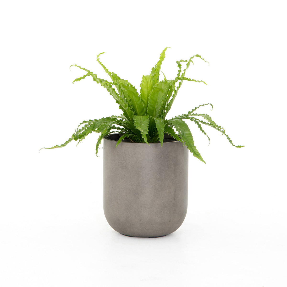 Ivan Round Planter - Grey Concrete