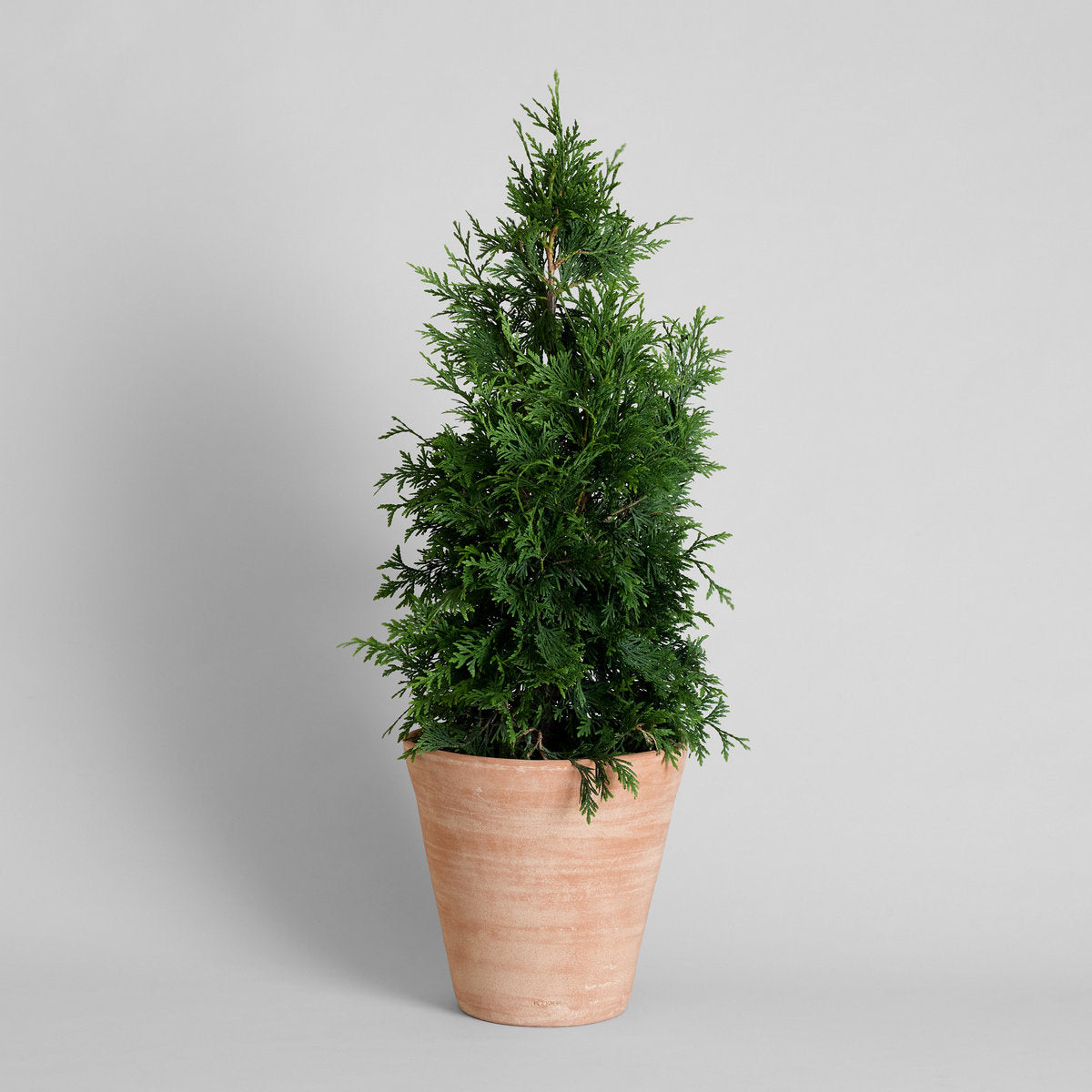 Terracotta Studio Planter, Whitewash